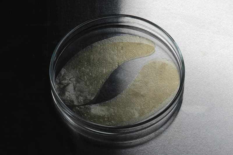 haeckels grown to order skincare bio restore membrane under eye masks sustainable science technology
