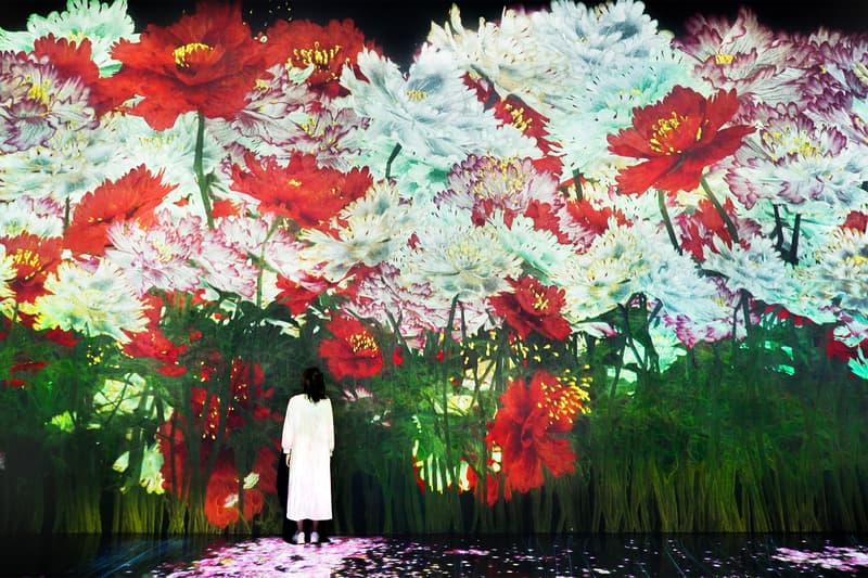 teamlab life seoul south korea dongdaemun design plaza digital art exhibition installation