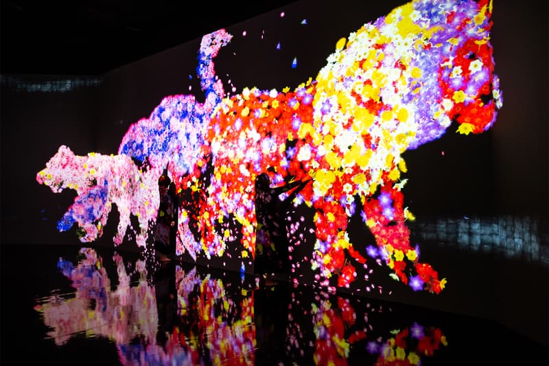 teamlab life seoul south korea dongdaemun design plaza digital art exhibition installation