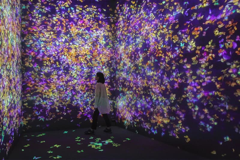 teamlab life seoul south korea dongdaemun design plaza digital art exhibition installation