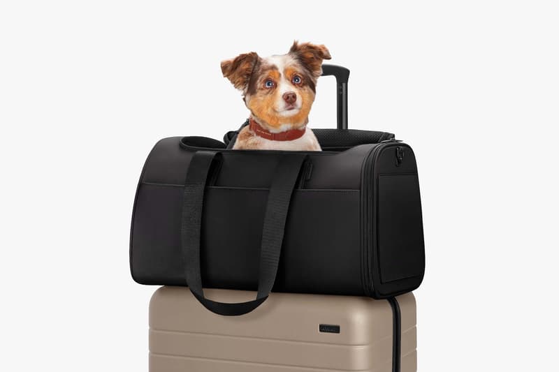 Away Launches New Pet Carry Travel Bag Black Teal