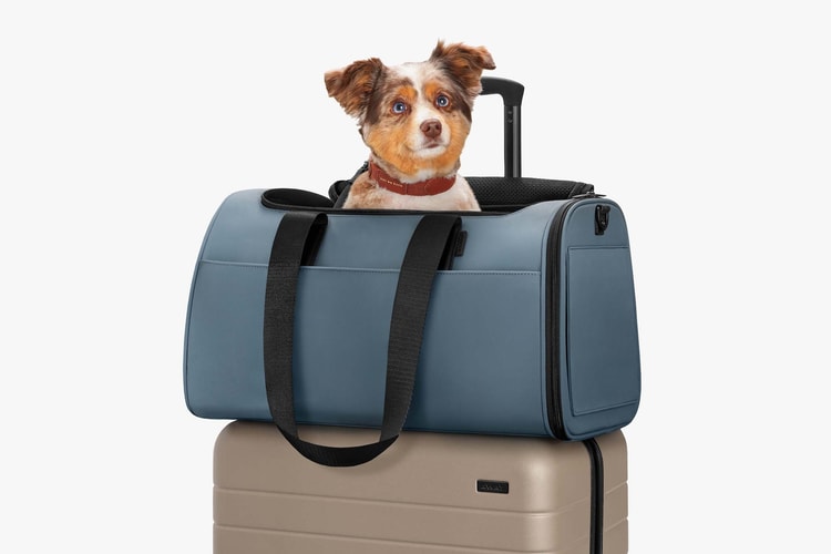 Away Launches Pet Carrier Bag for Your Furry Friends