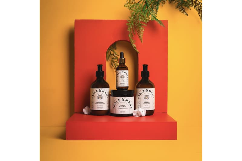 fabe and mane indian ayurvedic haircare wellness brand