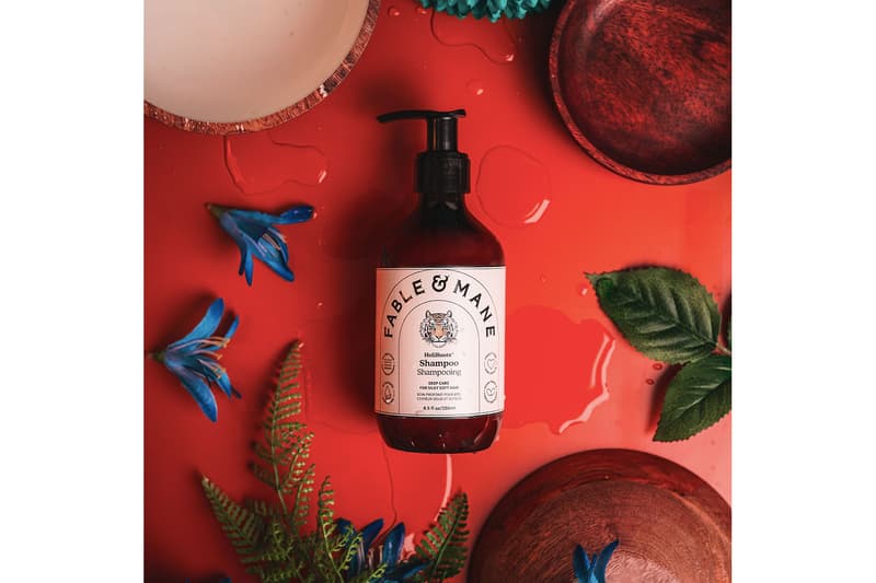 fabe and mane indian ayurvedic haircare wellness brand shampoo red
