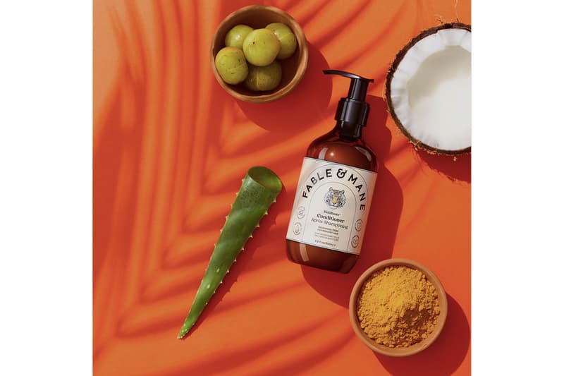 fabe and mane indian ayurvedic haircare wellness brand conditioner