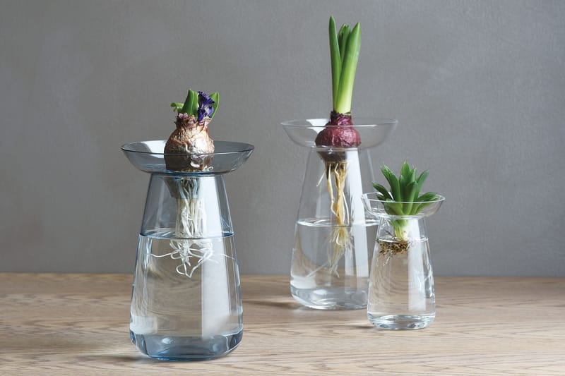 17 Minimal Pots and Vases for Your Indoor Plants