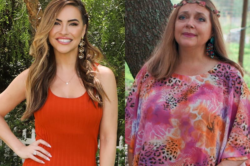 Netflix Stars Carole Baskin, Chrishelle Stause and More Join 'Dancing With the Stars'