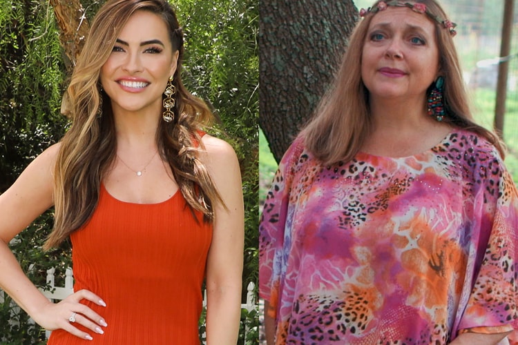 Netflix Stars Carole Baskin, Chrishelle Stause and More Join 'Dancing With the Stars'