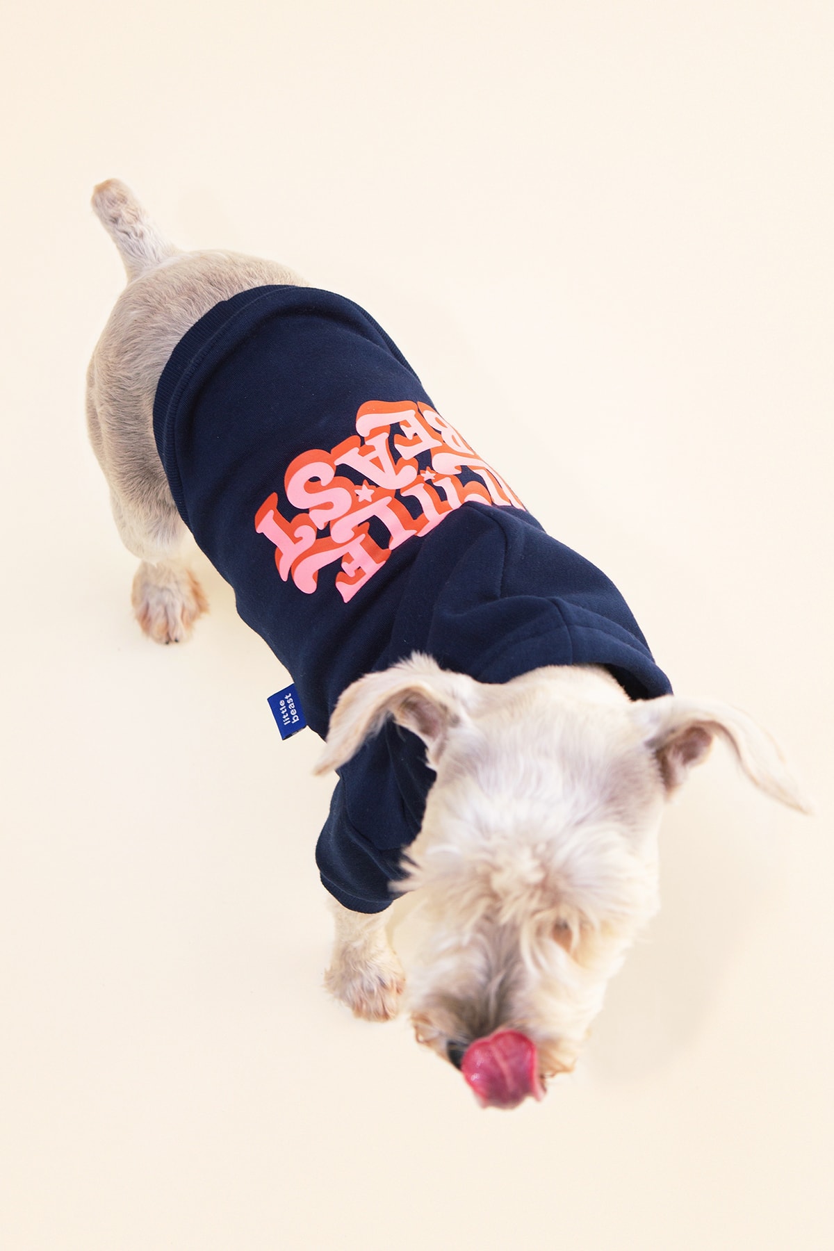 Little Beast Dog Clothing Sweater Hoodie Tie-Dye