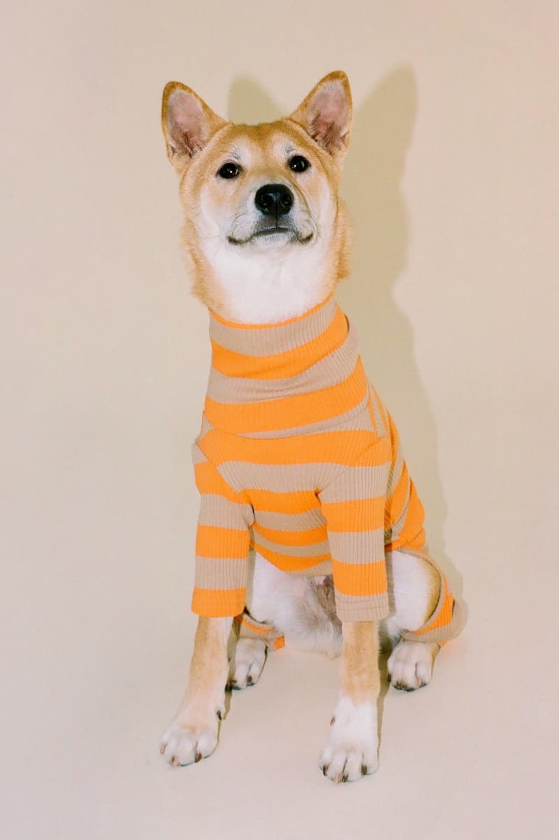 Little Beast Dog Clothing Sweater Hoodie Tie-Dye