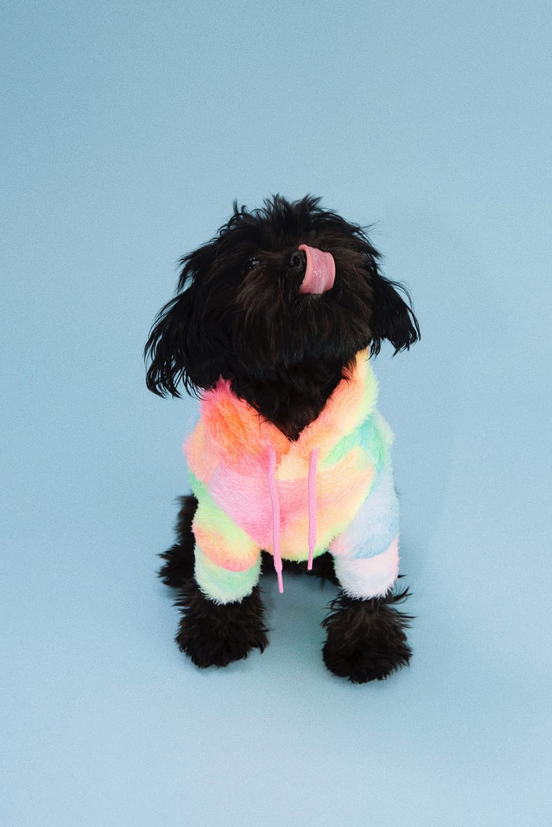 pink adidas dog hoodie