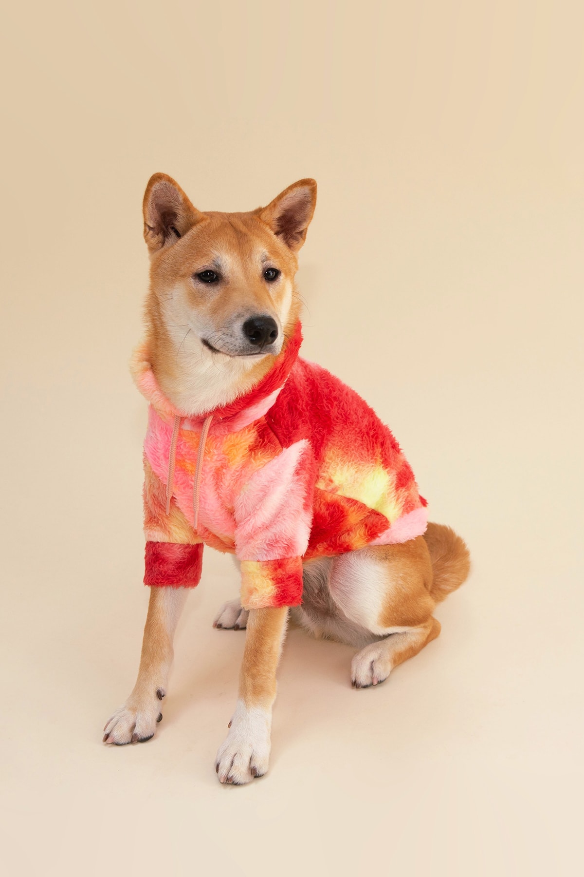 Little Beast Dog Clothing Sweater Hoodie Tie-Dye