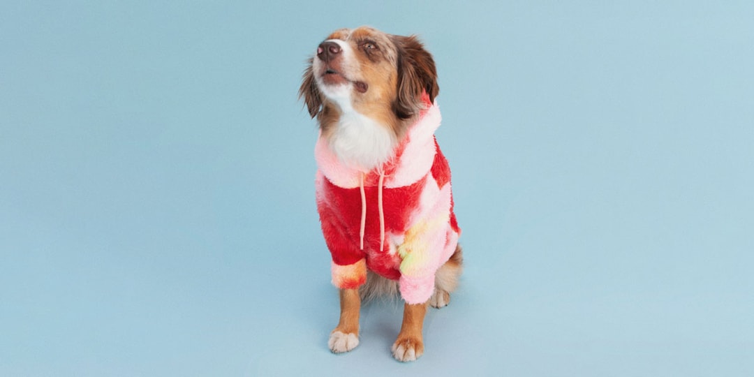 Dog Clothes & Apparel by Little Beast