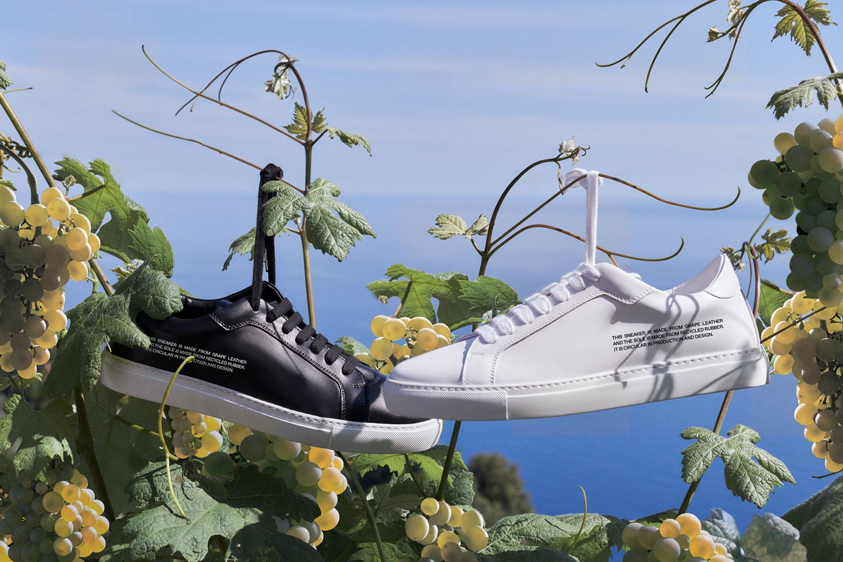 Pangaia Sneaker White Zero-Waste Grape Leather