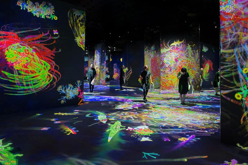 teamlab exhibition barcelona spain caixaforum interactive art show dates info