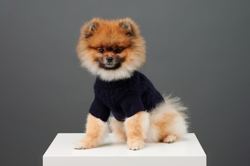 The Barkers Dog Clothing Rex Trench Coat White