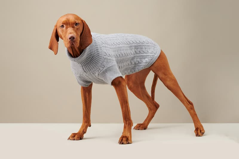 The Barkers Dog Clothing Rex Trench Coat White