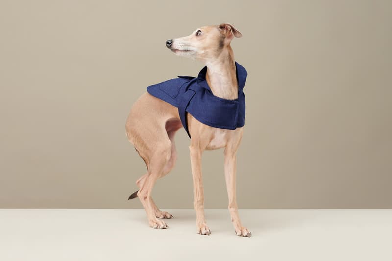 The Barkers Dog Clothing Rex Trench Coat White