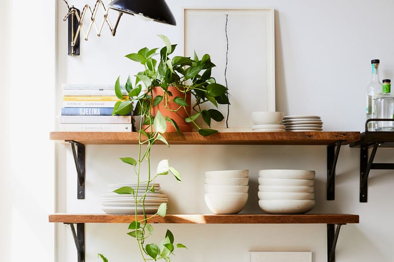 5 Best Indoor Hanging Plants for Cozying up Your Home, According To an Expert
