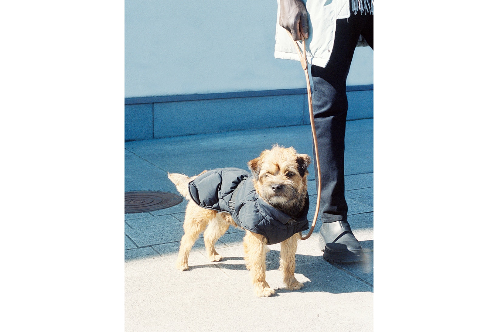 arket upcycled down jackets outerwear dogwear pets fall winter