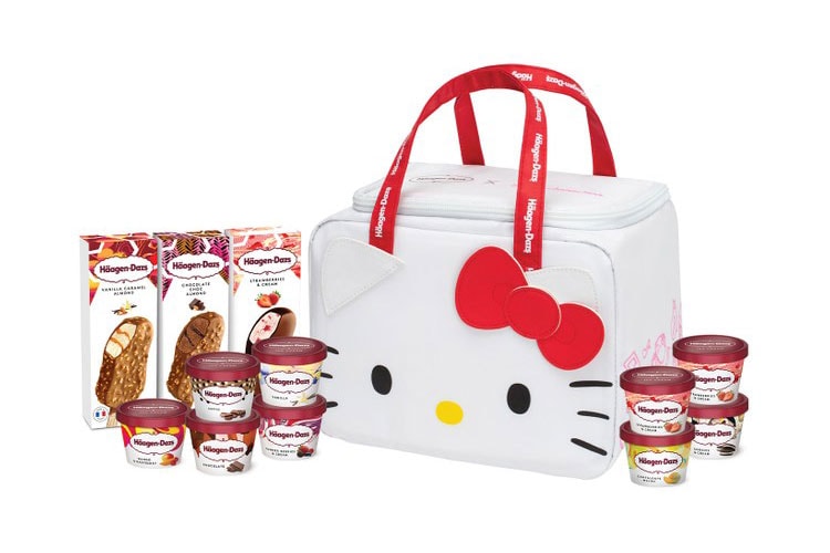 Keep Your Häagen-Dazs Cool With These Sanrio Bags