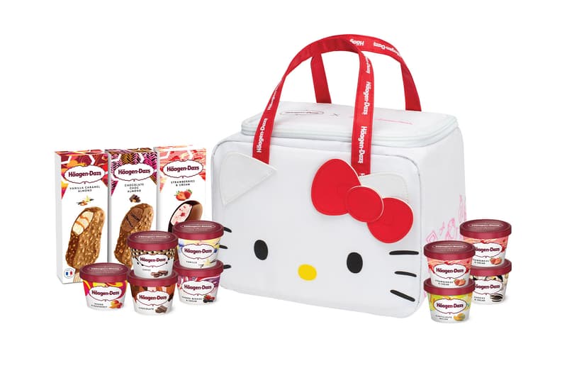 sanrio haagen dazs hello kitty my melody pompompurin ice cream cooler bags release hong kong