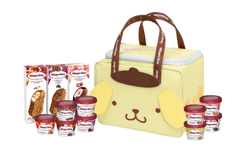 sanrio haagen dazs hello kitty my melody pompompurin ice cream cooler bags release hong kong