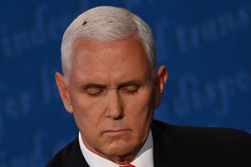 Mike Pence Fly Head Vice Presidential Debate