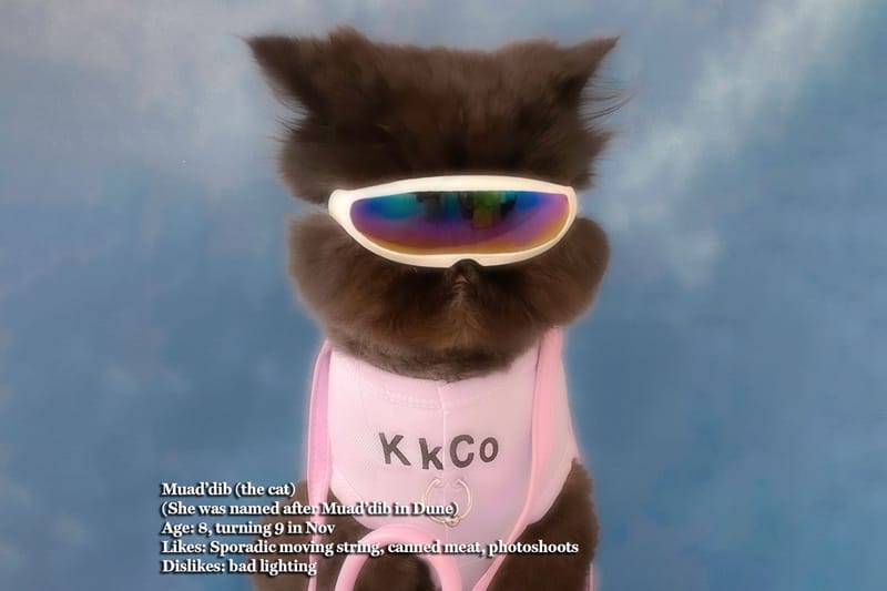 KkCo Creates Matching Tank Tops for Humans and Their Pets