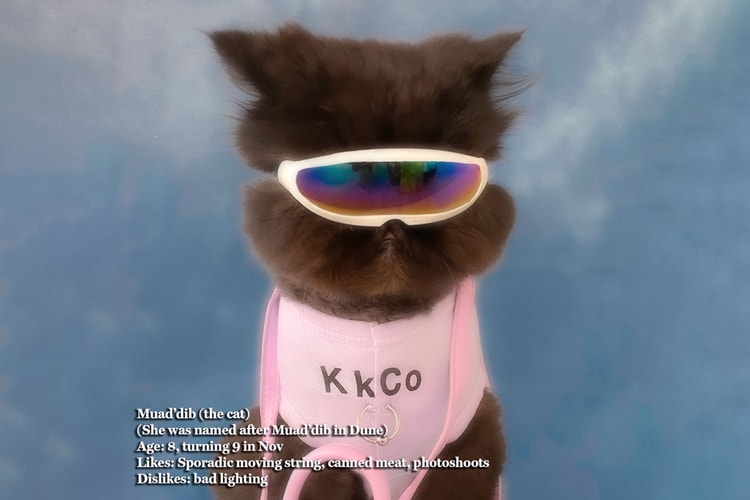 KkCo Creates Matching Tank Tops for Humans and Their Pets