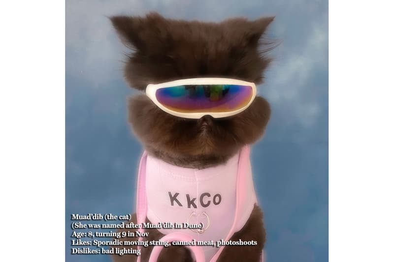 kkco pierced tank top cat muaddib pets lavender 