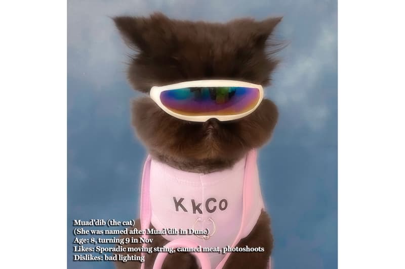 kkco pierced tank top cat muaddib pets lavender