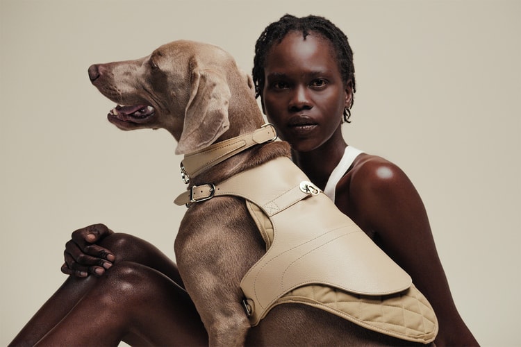 Pagerie Is the First-Ever Luxury Fashion House for Pets You Didn't Know You Needed