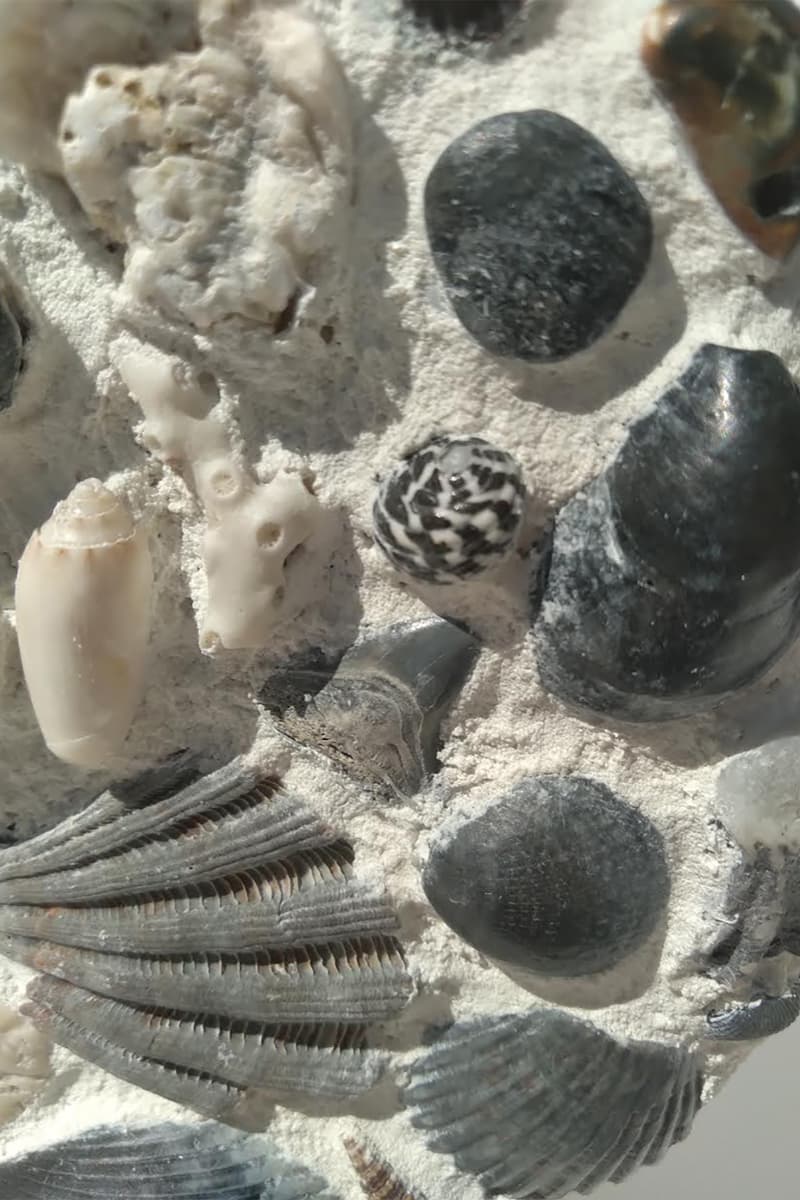 reaper goods seashell vases homeware decor