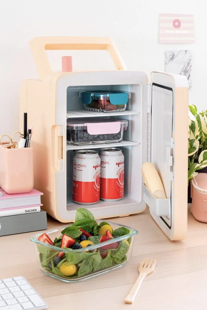 cute mini fridge for food