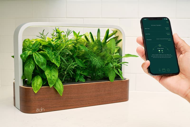 ēdn SmallGarden Indoor Garden Plants Herbs Vegetables Home Smart App Phone