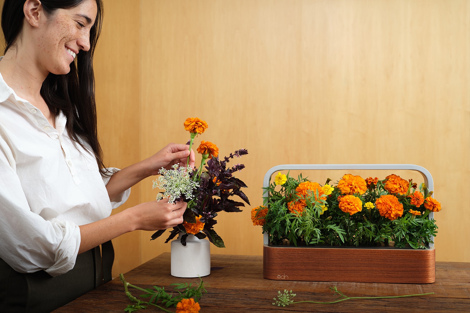 ēdn SmallGarden Indoor Garden Plants Herbs Vegetables Home Smart App Phone