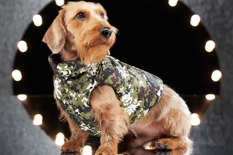 Moncler Genius Launches Ultra-Chic Collaboration With Poldo Dog Couture