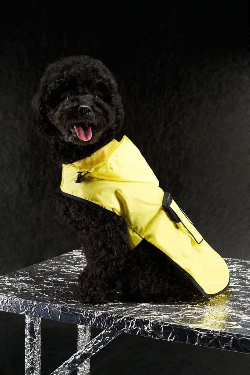 moncler genius poldo dog couture pets mondog puffer vests cloaks collars leash price