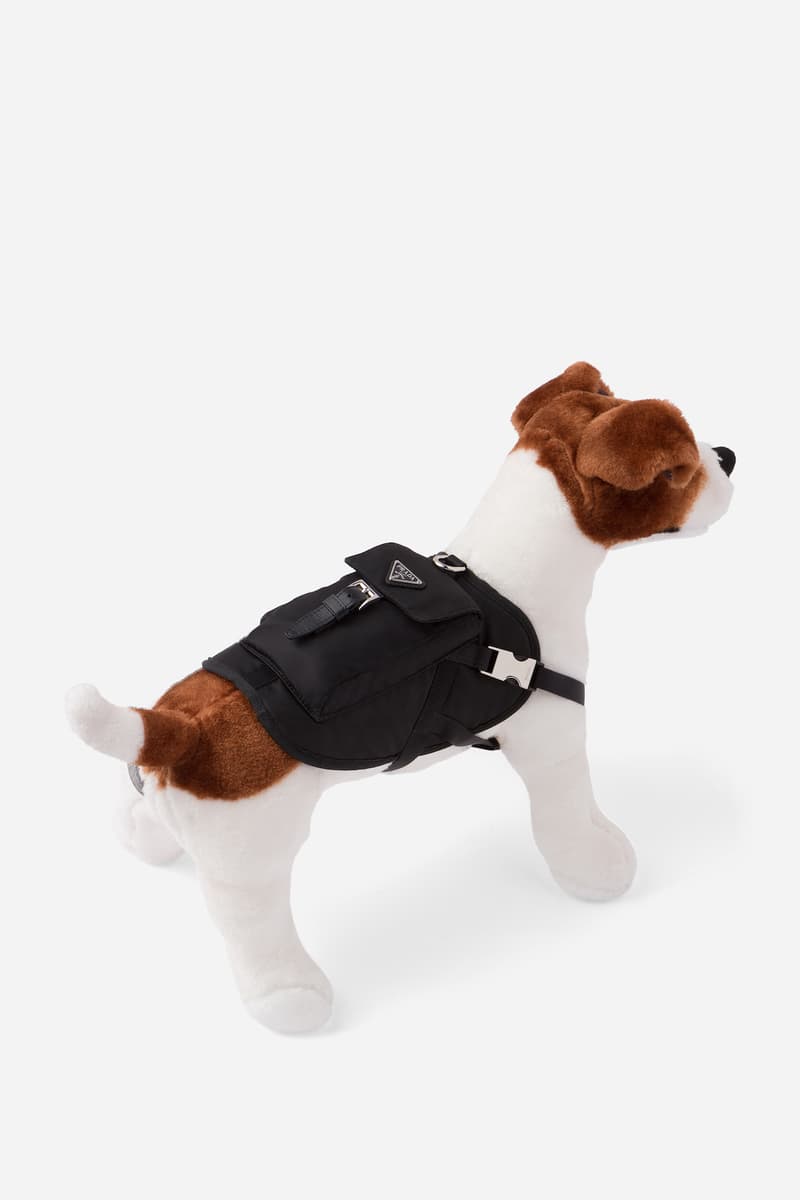 Prada Logo Dog Coats & Jackets Holiday 2020 | Hypebae