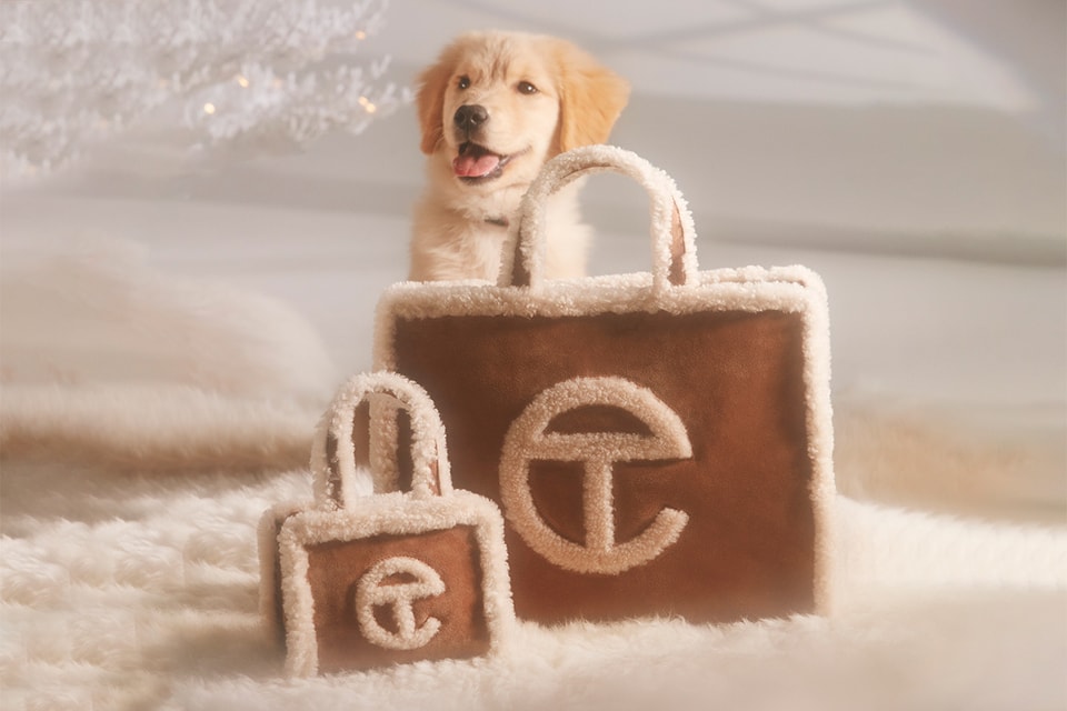Louis Vuitton announces new line of designer dog poo bags