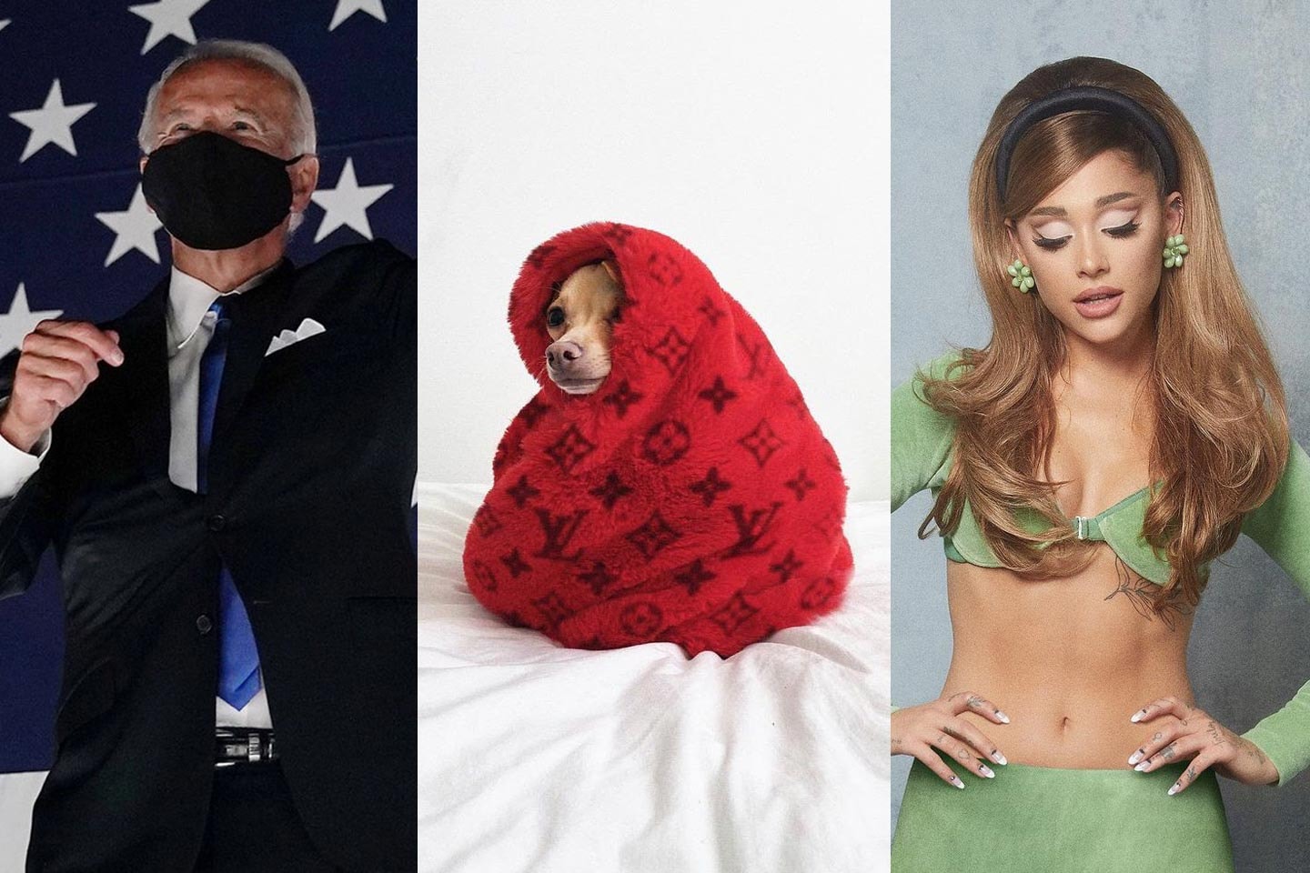 Joe Biden Presidential Election Win Boobie Billie Dog Blanket Ariana Grande positions Album Cover Art
