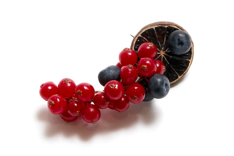 Maison Margiela Fruit Vegetable Jewelry Fresh Market Broccoli Earring Currant Brooch