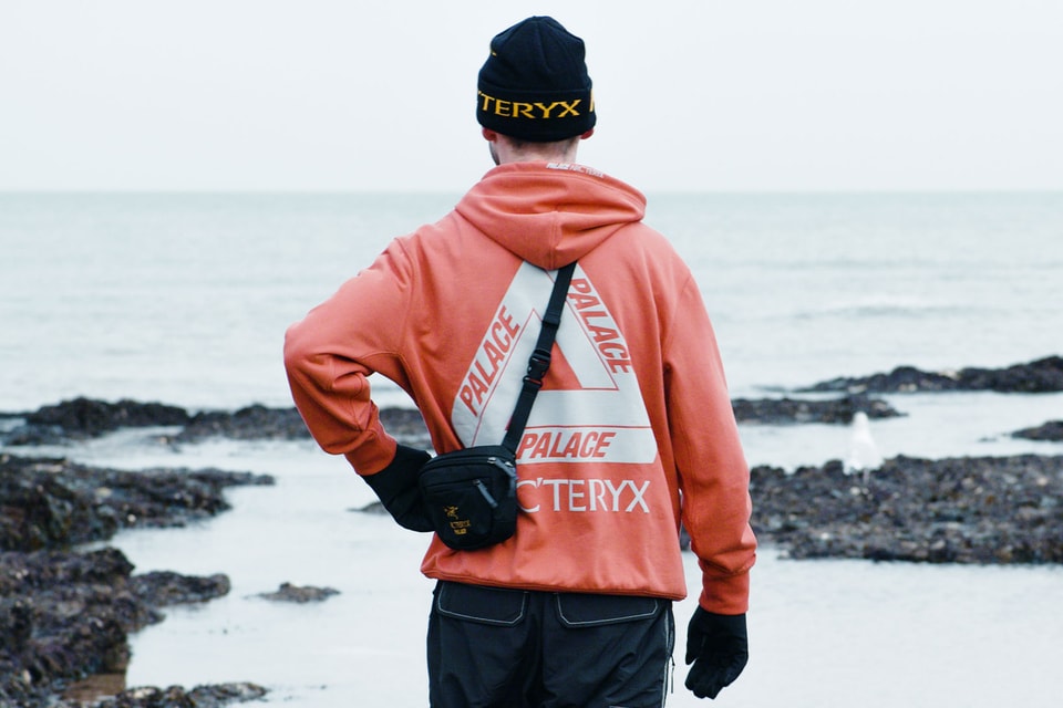 Palace x arcteryx beanie Clearance