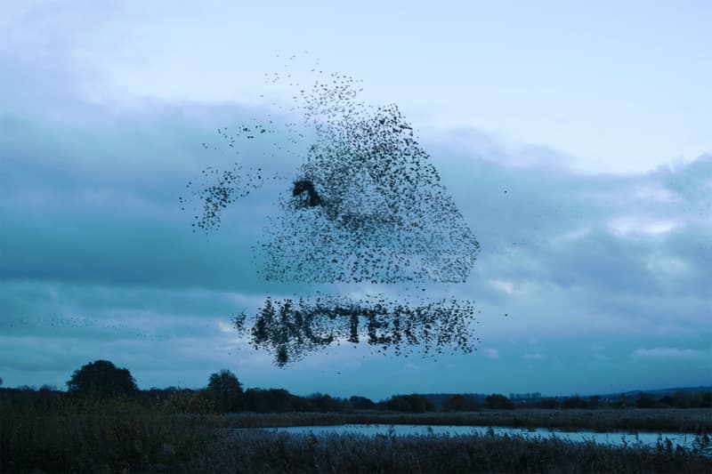 arcteryx palace skateboards collaboration outdoor jackets beanies hoodies gore-tex outerwear release