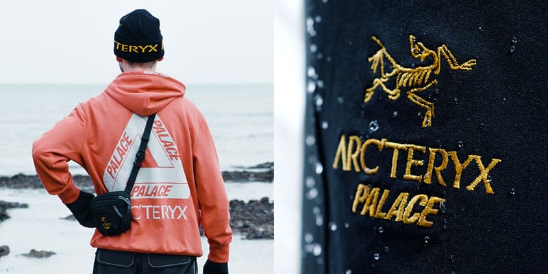 palace x arcteryx beanie