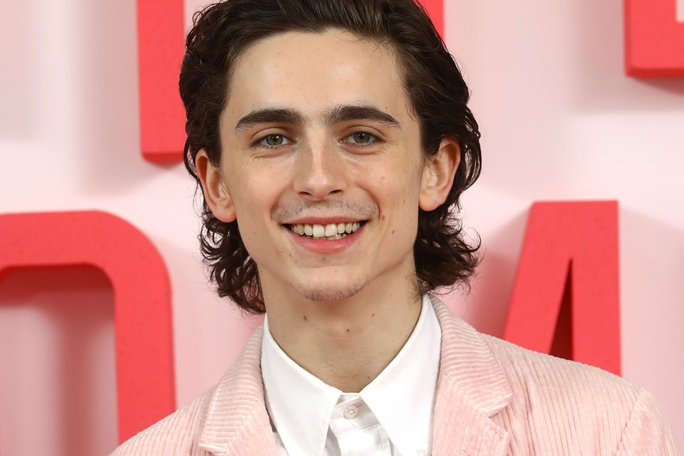 Harry Says: How to get Timothée Chalamet's perfect hair