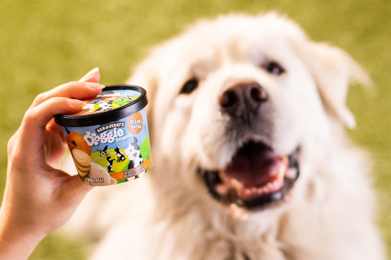 ben and jerrys doggie desserts pet ice cream snacks rosies batch packaging