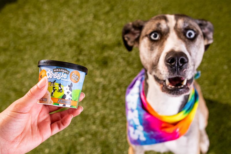 ben and jerrys doggie desserts pet ice cream snacks rosies batch packaging face