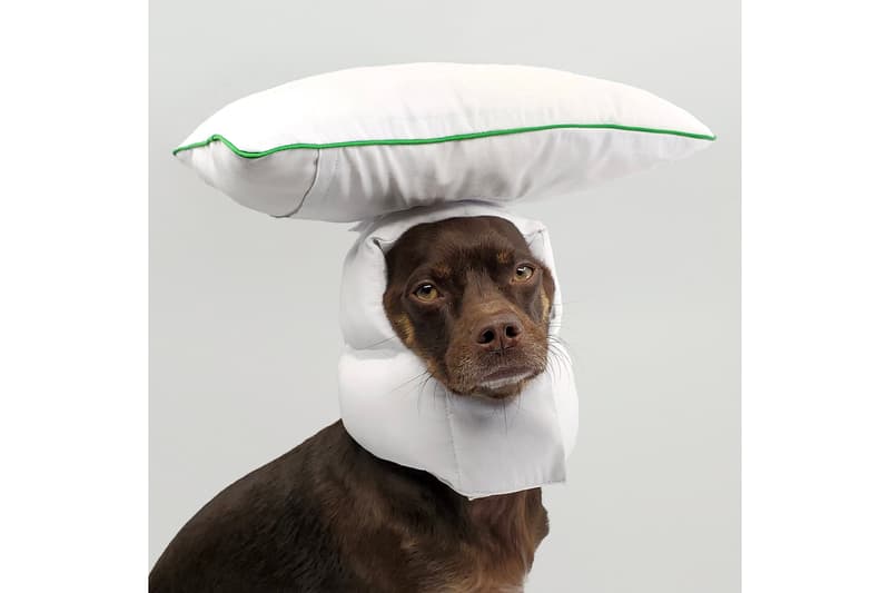 Between Two Naps Dog Wear Clothing Pet Brand Helmut Accessories Sleepover XL Rajeev Basu